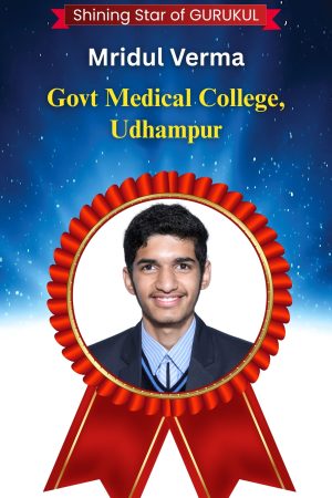 MRIDUL VERMA.......jpg